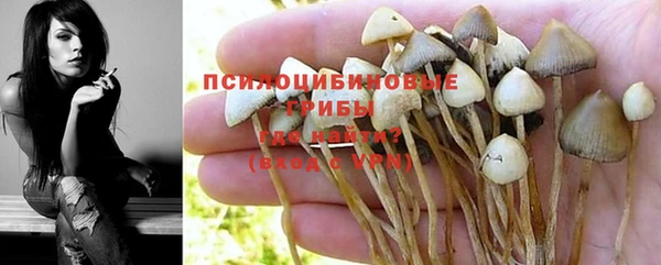 сатива Богородицк