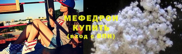 стаф Богданович