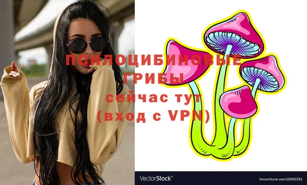 2c-b Каменка