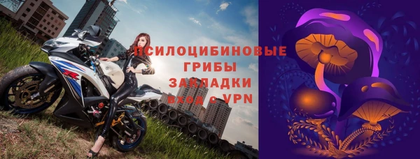сатива Богородицк