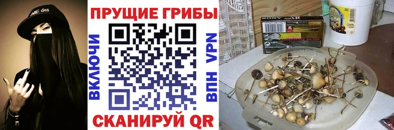 Псилоцибиновые грибы GOLDEN TEACHER Красный Кут