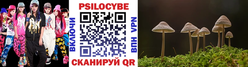 где купить   Красный Кут  Галлюциногенные грибы Magic Shrooms 