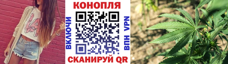 Шишки марихуана планчик Красный Кут